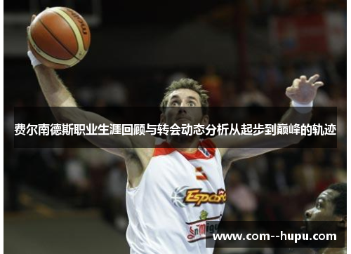 费尔南德斯职业生涯回顾与转会动态分析从起步到巅峰的轨迹