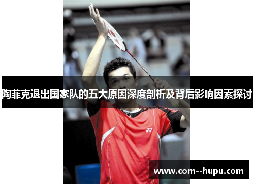 陶菲克退出国家队的五大原因深度剖析及背后影响因素探讨